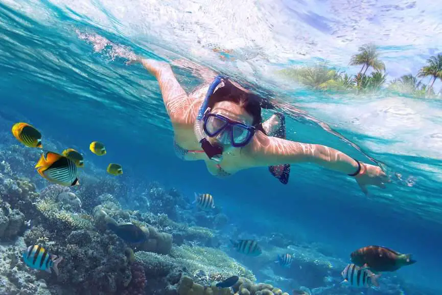 Can You Breathe Underwater With A Snorkel? (HowtoGuide) Commutter