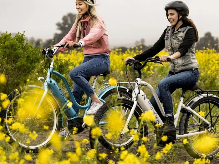 How Do You Choose the Right Electric Bike?