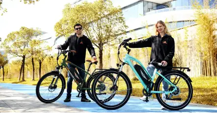 AddMotor E-bike